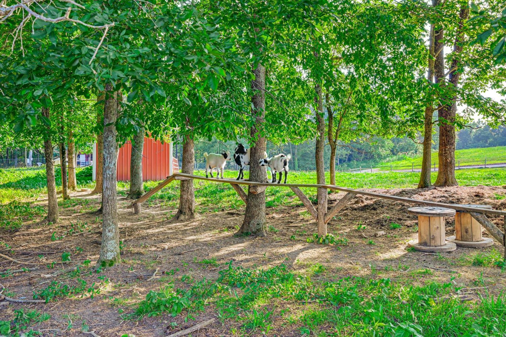 Almost Heaven Too 50-Acre Escape With Pond! Brownsville Exterior photo